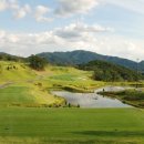 자유로스크린골프 이미지