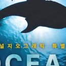 내셔널지오그래픽 - 청주시 상당구 상당로69번길 20 | 내셔널지오그래픽