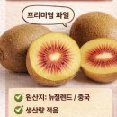 한나식빵황학동롯데 | 루비레드키위 효능과 일반키위와 비교 루비레드키위 후숙방법과 보관법 by에코한나