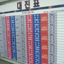 청도소싸움축제 티스토리