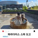 아산 파라다이스 도고 준비물 후기