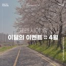 케렌시아 솔 이미지