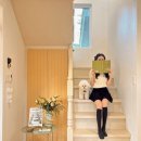 파슬스 이미지