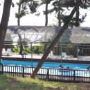 두바다찬솔 이미지