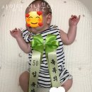 분당산후도우미 사임당 성남분당 정보소개