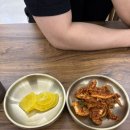 [거제 고현 맛집] 홍합과 황태로 만든 시원한 국물이 일품, 합자칼국수 솔직후기