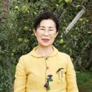 전따라막걸리따라 이미지
