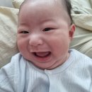 베베스토리 | 심플한 셀프 백일상 '스토리베베' 대여 후기