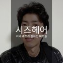 시즈(XYZ)