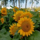 왕초보 컴퓨터 입문 이미지