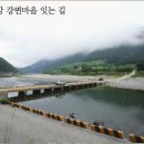 삼천순환로 Daum카페