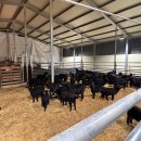 팔미농장 이미지