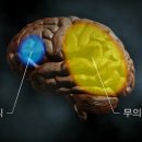 수요기획 이미지