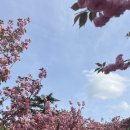 봄날과자점 | [경주여행] 겹벚꽃 실컷 본 2박3일 경주 우정여행 후기(Feat.한옥숙소)