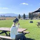 모닝투어(MORNING TOUR) | [호주 멜버른] 와이너리 투어 갔다온 후기 Winery tour