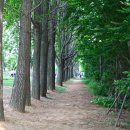 경의선숲길 이미지