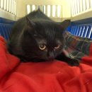 추영재동물병원 이미지