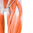 PT의 품격 이미지