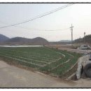 칠서초등학교이룡분교장 이미지