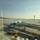 꿀꿀이왕국 | [겨울 신혼여행] 스페인&amp;포르투칼 13박 14일_마드리드 3박 4일