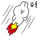 아이비드레스 이미지