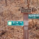 백운산수련관 야영장 Daum카페