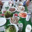 파트라슈 애견 펜션 이미지