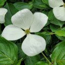 산진농장 이미지