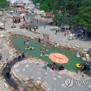 고라데이민박 이미지
