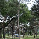 거창-가북-3 이미지