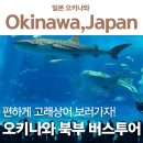 0406-0005 | 오키나와 북부투어 추라우미 수족관 티켓 포함, 나고 파인애플 파크 만좌모