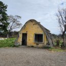 창천목장 이미지