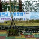 원량초등학교 Daum카페