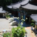 운수암 등산로 이미지