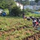 더불어 농장 이미지