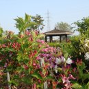 오월농장 이미지