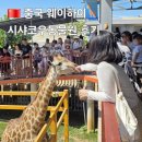 동물원 | [중국 웨이하이] 시샤코우 동물원 후기