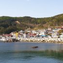 여량축산 Daum카페