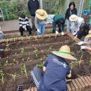서귀포 온성학교 이미지