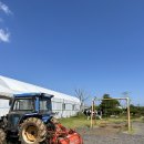 맘마목장 | 연보람 목장 동물 먹이주기 체험 &amp; 피자 만들기 쿠킹클래스