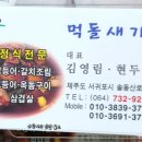 먹돌새기