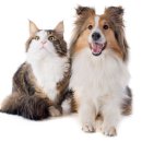 광주첨단YB동물병원 이미지