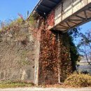 북한강철교쉼터화장실 이미지