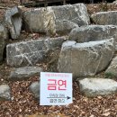 할로인풍 | 공주브런치 천안 세종근교카페추천 할로인풍