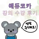 애니에듀 | [한국콘텐츠진흥원 에듀코카 서포터즈 7기] 에듀코카 강의 후기 <인스타툰_오늘의 다은 작가님>