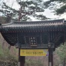 산청 대원사 템플스테이 후기