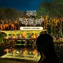 부여(백제)-09 | 부여 백제문화단지 낙화놀이 관람 후기 입장료