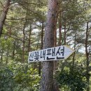 산꽃내농원펜션