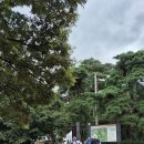 하늘 아래 천년의 불교 문화 단지 경주 남산에서 - 2025.09.21 이미지