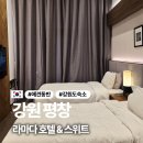 도도애견샵 | NOL 평창 숙소 애견동반 되는 곳 찾고 있다면 가성비 평창 라마다 호텔